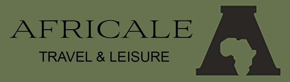 Logo Africale Travel